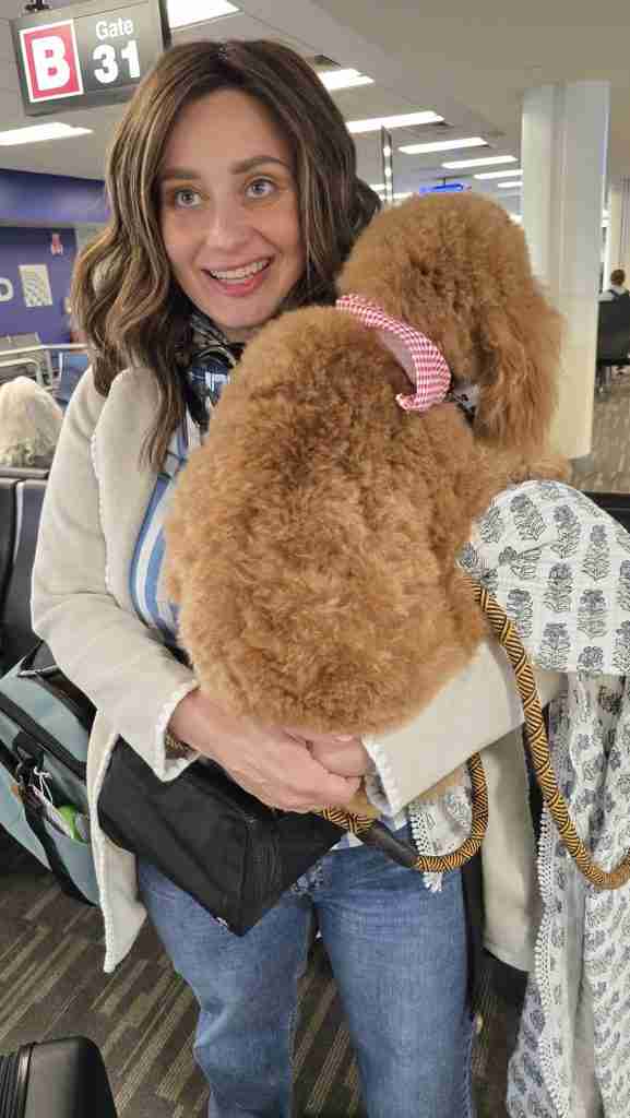 Lucky the Goldendoodle Service Dog arrives in Boston's Logan Airport after his first flight.
