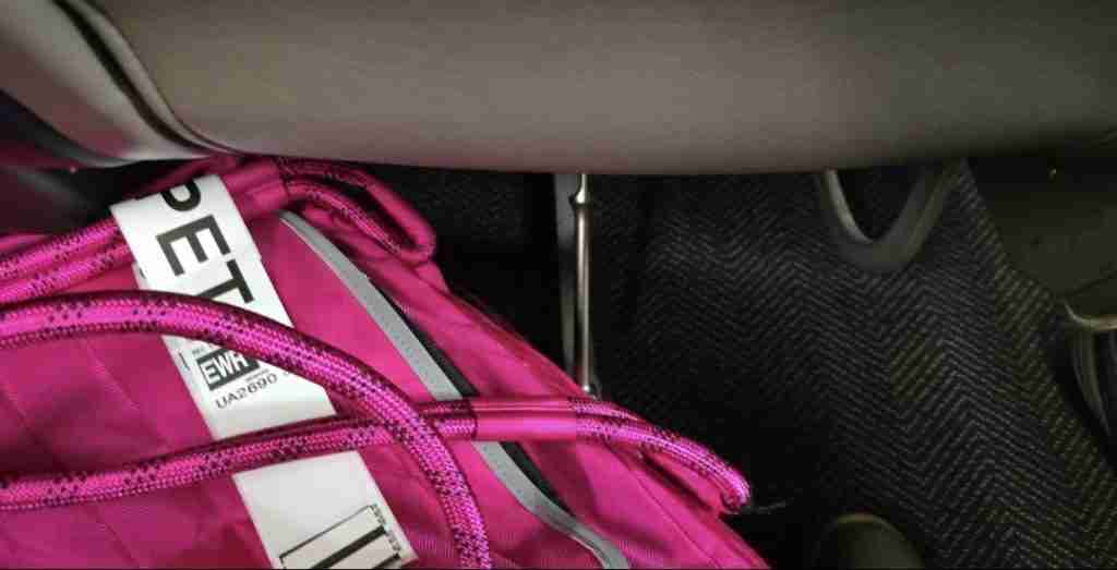 A soft-sided puppy travel carrier attempting to fit under a United Airlines 737 MAX First Class aisle seat, but physically blocked by a structural metal seat pillar that cuts the under-seat floor space in half.